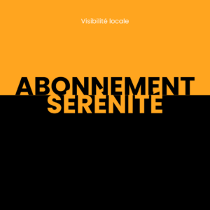 visibilité locale, référencement, SEO, abonnement mensuel, gestion marketing digitale